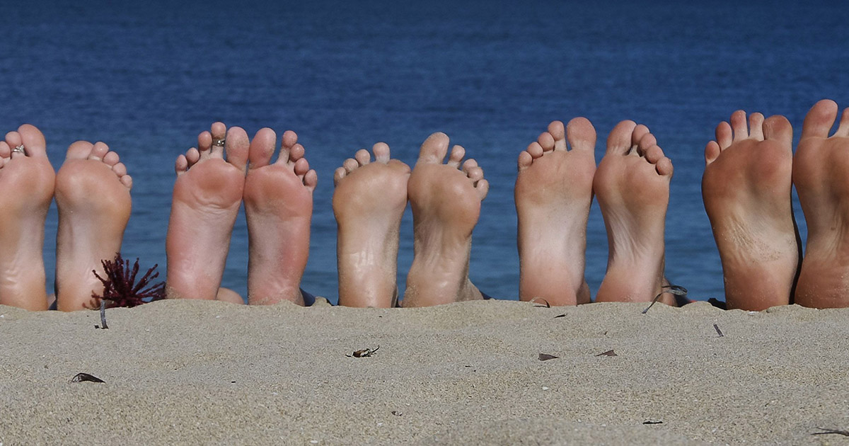 a row of feet on the beach
