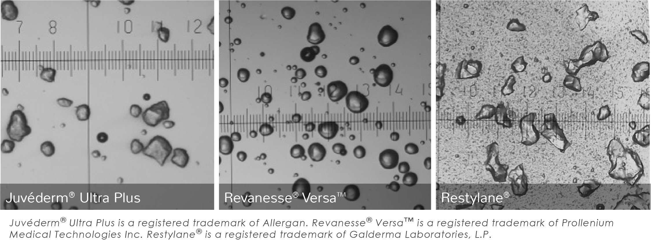 comparison of dermal fillers with Versa clearly showing more spherical particles.